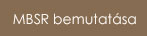 MBSR bemutat�sa
